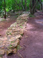 Chichn Itza, a megfejthetetlen maja misztrium 