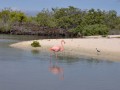 Galapagos - a teknsk szigete - 