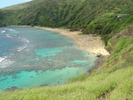 Hawaii - mindent egy helyen 
