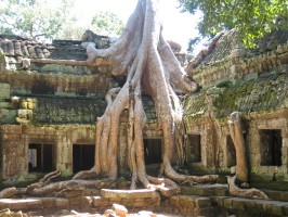 Angkor - romvros a dzsungel mlyn 