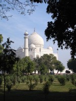 Taj Mahal - 