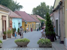 Tokaj - Bacchus fldje 