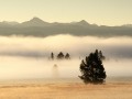 Yellowstone - az koturistk mekkja - 