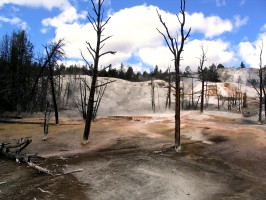Yellowstone - az ökoturisták mekkája 