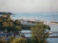 Balatonfred - feketn-fehren - 