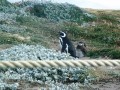 Patagnia, a szelek birodalma - 