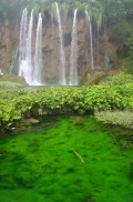 Plitvicei Nemzeti Park - A szomszd kertje - 