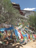 Potala-palota, csillog gyngy a vilg tetejn  - Imazszlk