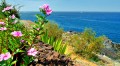 Tenerife, az örök tavasz szigete - 