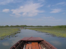 Tisza-t - a t, ami valjban nem t 